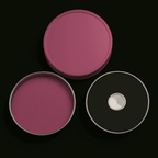 Cyclone mini + Rein Drink mix options Hand held dispenser + Spice options image 2