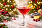 Holiday Christmas